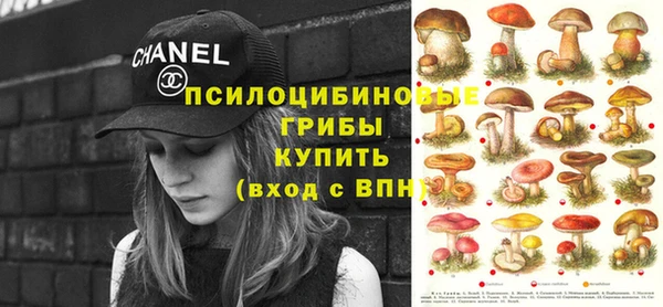 каннабис Ельня