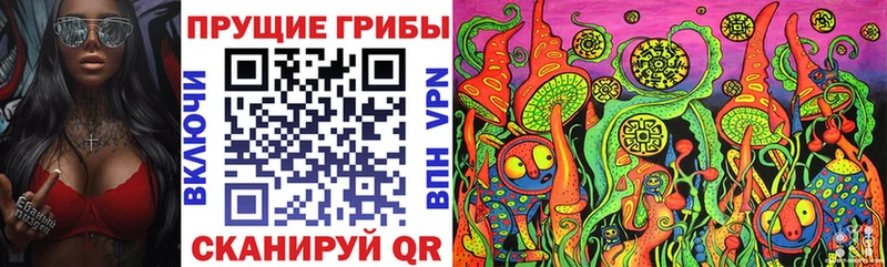 Псилоцибиновые грибы Psilocybine cubensis  blacksprut   Изобильный 